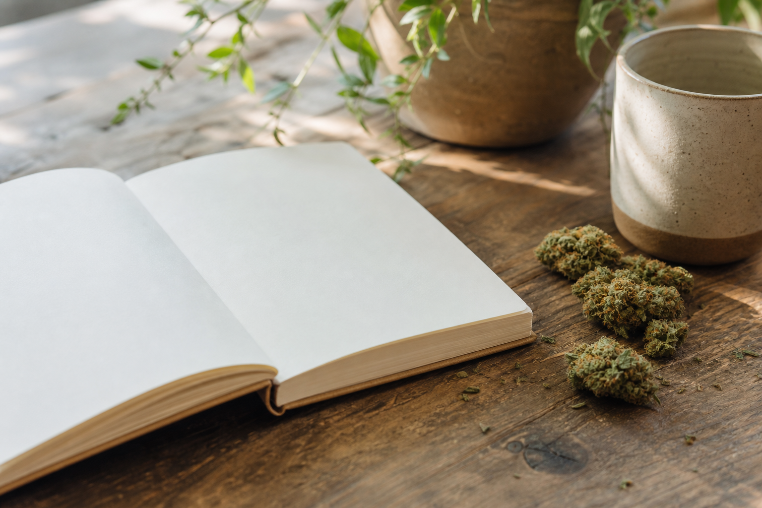 Cannabis Journaling: Track Your Strains, Doses, and Effects