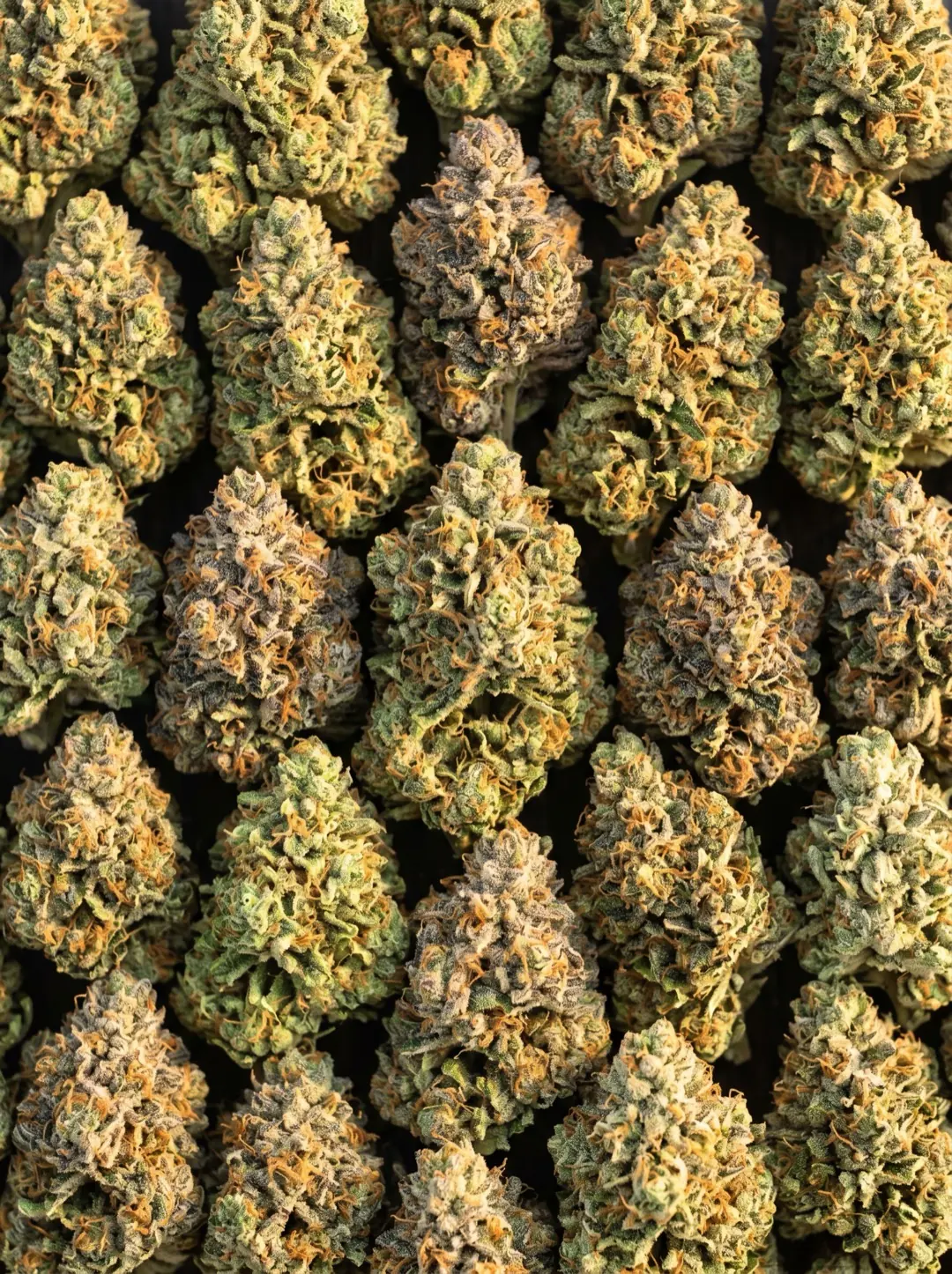 A canvas of sun-grown, hand-trimmed organic cannabis buds — Divine Toke Detroit
