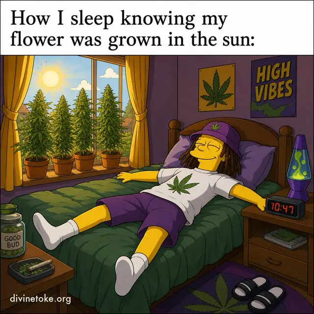 Cartoon meme with a white top caption bar reading How I sleep knowing my flower was grown in the sun: over a yellow-skinned character starfished across a bed grinning, golden light through the window, cannabis plants on the windowsill.